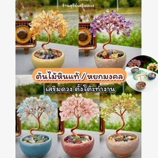 ต้นไม้ หยกแท้ ต้นไม้มงคล (ส่งด่วน มีกล่อง) Office สายมู 🌷💯ตั้งโต๊ะ เสริมการงาน ไผ่กวนอิม ตั้งโต๊ะทำงาน Luxuary แต่งบ้าน