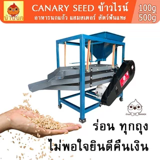 ข้าวไรน์ 100g / 250g / 500g อาหารนกแก้ว อาหารนก แฮมสเตอร์ สัตว์ฟันแทะ ธัญพืช ธัญพืชนก ข้าวไรย์ ข้าวไร