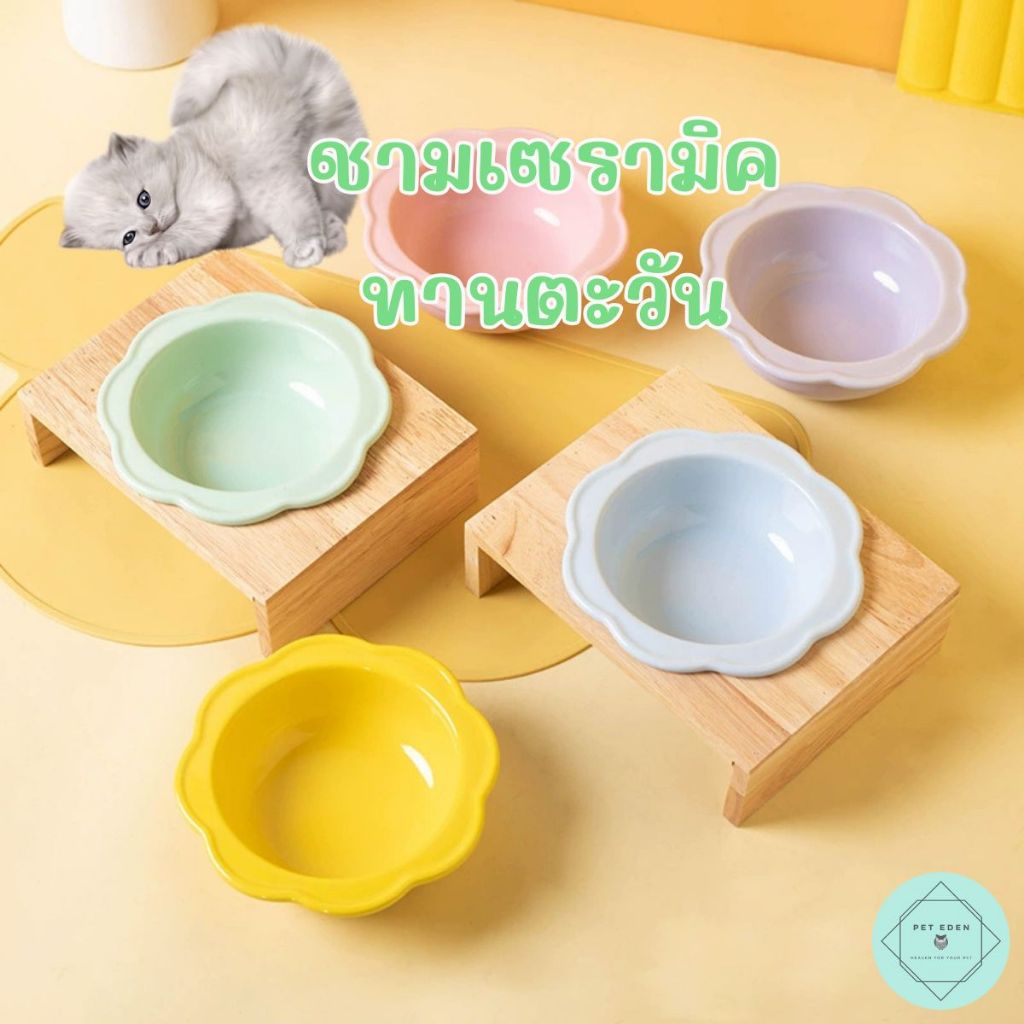 ชามเซรามิคทานตะวัน จานหมา แมว สุนัข จานอาหาร Bowl สีพาสเทล