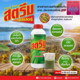สตีมซุปเปอร์ สาหร่ายทะเลสกัดเข้มข้น เปิดตาดอก เพิ่มความสมบูร…