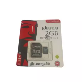 เสียงนกคุ่มนกคุ้มต่อบันทึกในSD CARDเมมโมรี่การ์ด