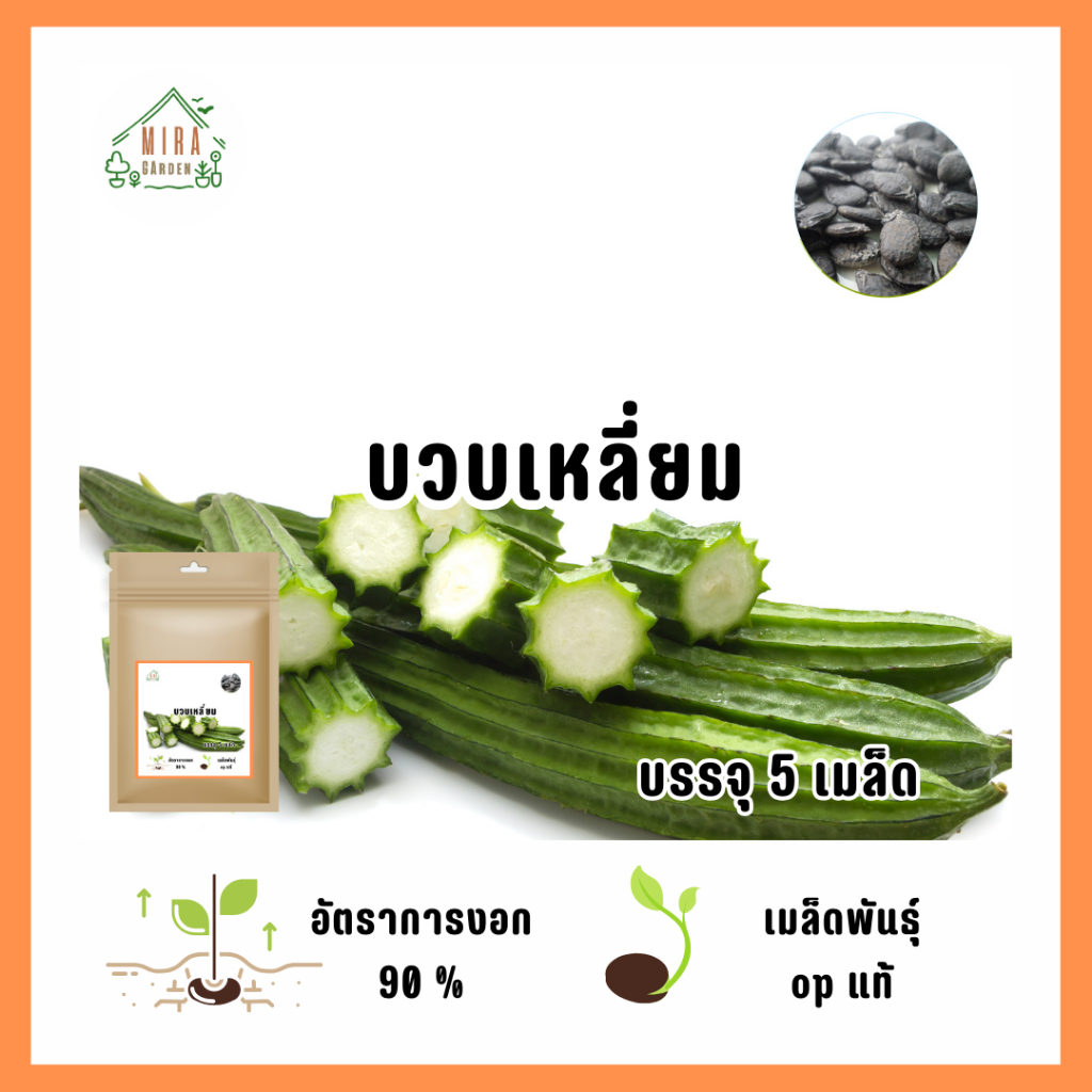 เมล็ดพันธุ์บวบเหลี่ยม 5 เมล็ด