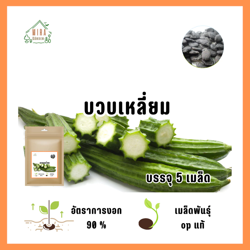 เมล็ดพันธุ์บวบเหลี่ยม 5 เมล็ด