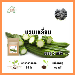 เมล็ดพันธุ์บวบเหลี่ยม 5 เมล็ด