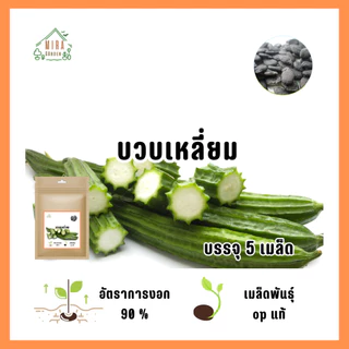 เมล็ดพันธุ์บวบเหลี่ยม 5 เมล็ด
