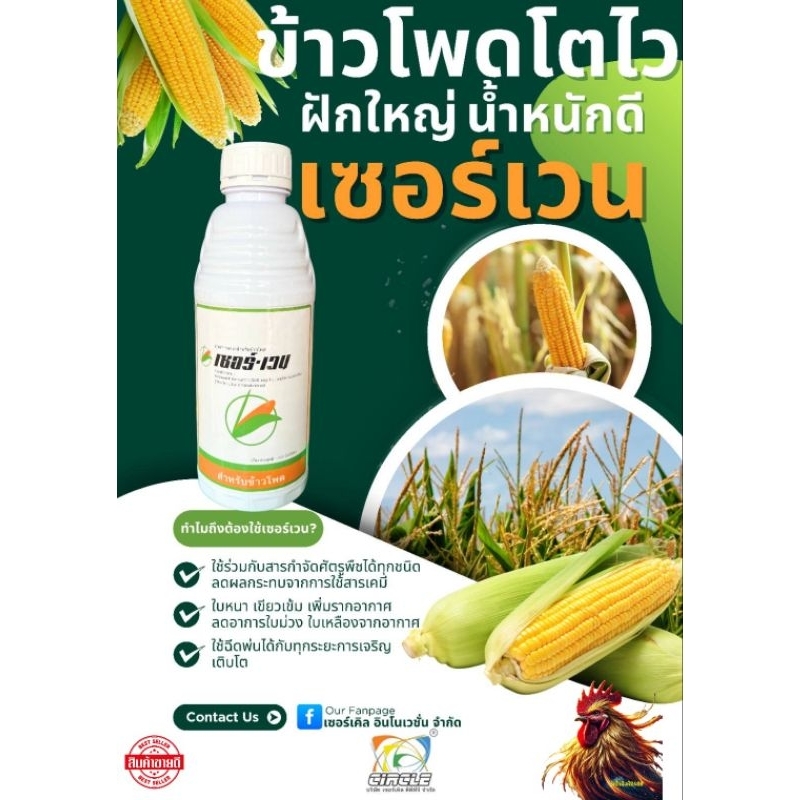 ฮอร์โมนข้าวโพด-เซอร์เวน ขนาด 1 ลิตร