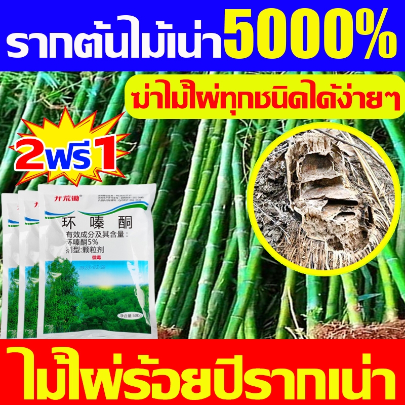 💥โรยโดยตรง ไม่ต้องเติมน้ำ💥ยาฆ่ากอไผ่ ตรงไปที่ราก ยาฆ่าต้นไม้ ไม่ทำลายดิน ยาฆ่าตอไม้ 500g สารกำจัดกอไผ่ ยาฆ่าไผ่