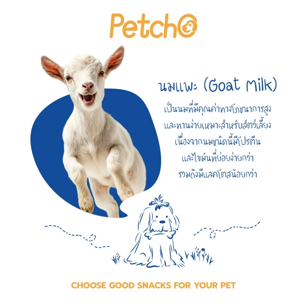 Petcho ขนมนมแพะสุนัข เม็ดเล็ก/สติ๊ก ครบ 4 แบบ thumbnail 6