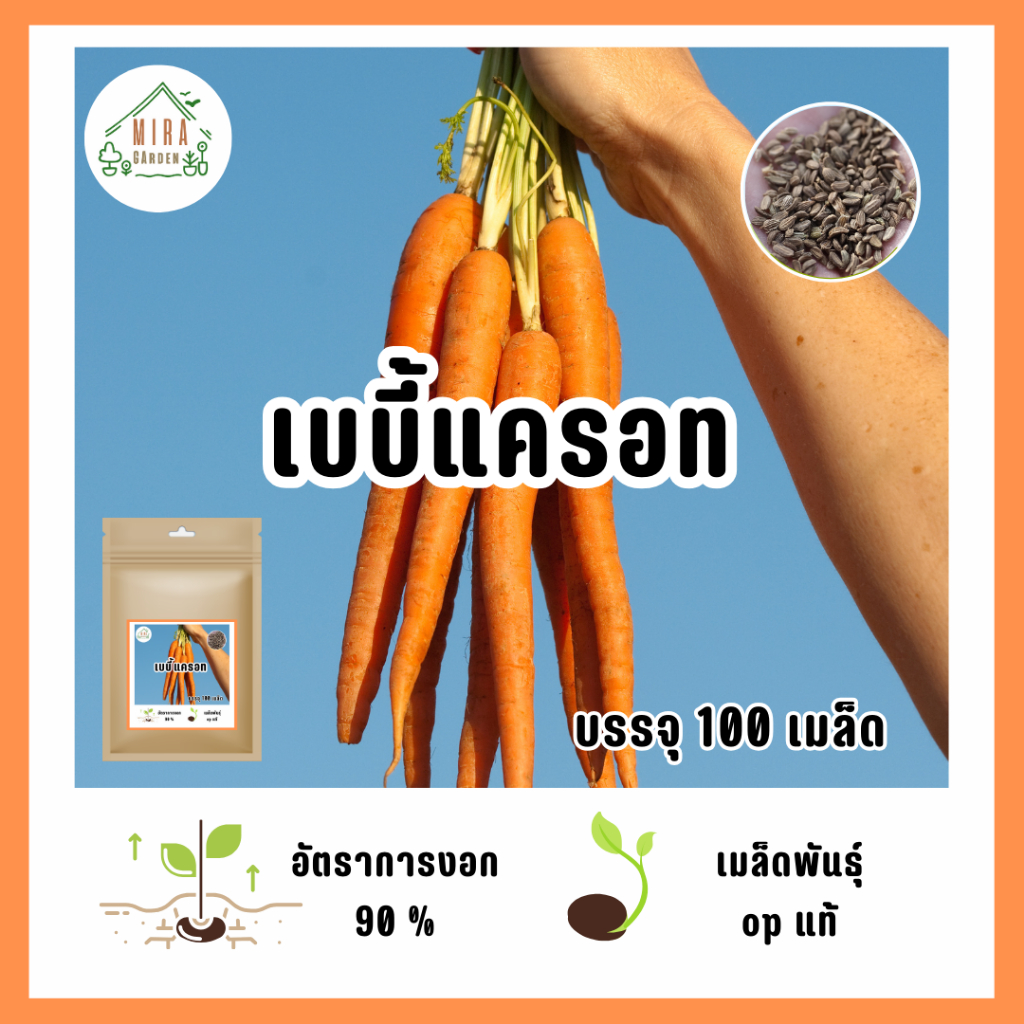 เมล็ดพันธุ์เบบี้แครอท 100 เมล็ด