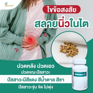 Uherbal P ยูเฮอร์เบิล พี ตอบโจทย์เรื่องนิ่วในไต