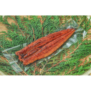 Unagi อุนางิ ปลาไหลย่างซี๊อิ้ว สไตล์ ญี่ปุ่น 210-230G/PACK /…