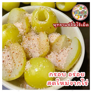 พุทราแช่อิ่มไร้เม็ด((3แถม5))หวานกรอบอร่อย ใหม่จากไร่ (แถมฟรีพริกเกลือ5ถุง) SapaFruit
