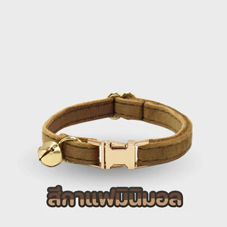 Pawlux pets ปลอกคอสัตว์เลี้ยงสลักชื่อฟรี สไตล์มินิมอลสแตนเลสแท้