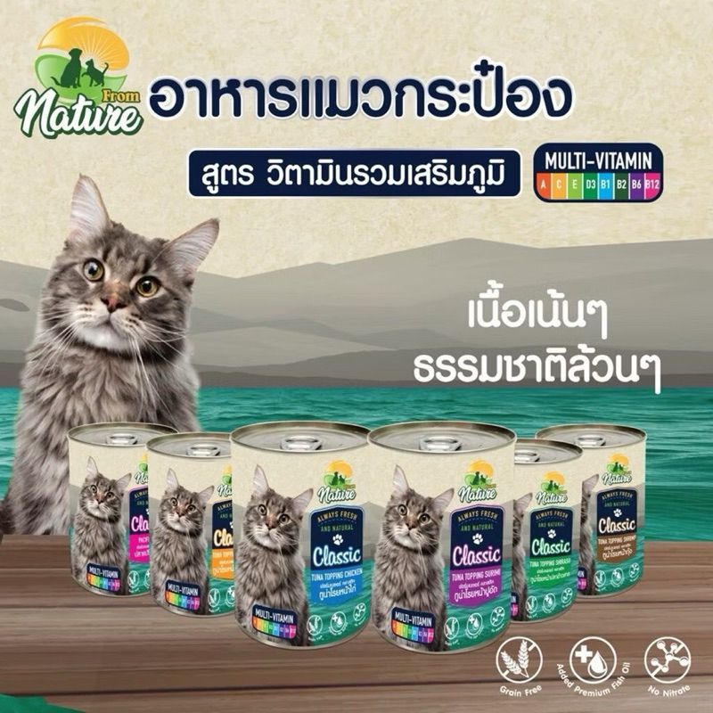 From Nature อาหารเปียกแมว อาหารกระป๋องแมวขนาด 400 กรัม