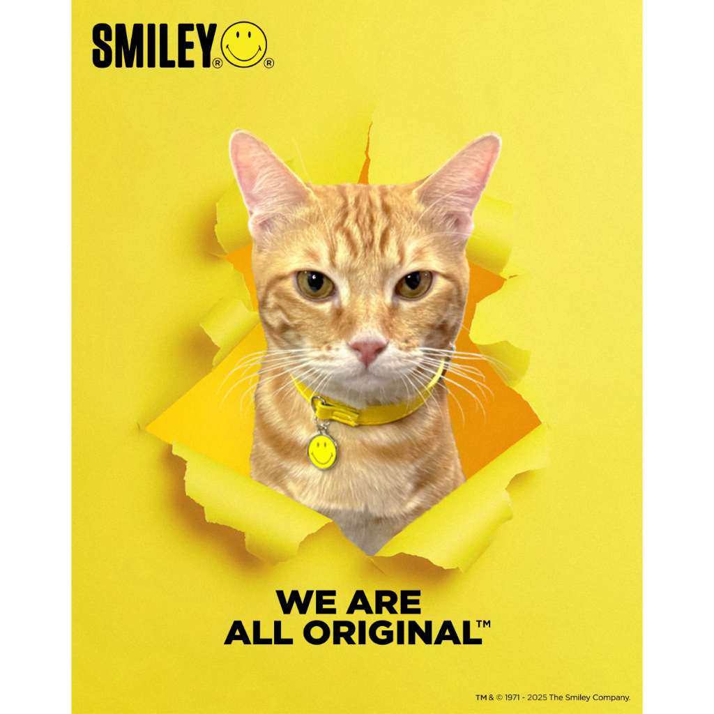 SMILEY® YELLOW PET COLLAR WITH CHARM