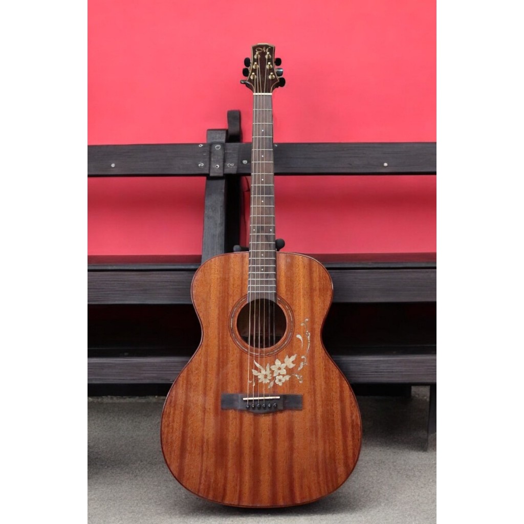 กีต้าร์โปร่งไฟฟ้า Matrixss