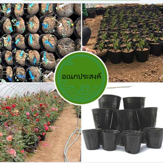 ถุงปลูก100ใบ ราคาถูก กระถางเพาะกล้า ถุงเพาะกล้า ต้นกล้า การปลูกต้นกล้า ปลูกต้นไม้