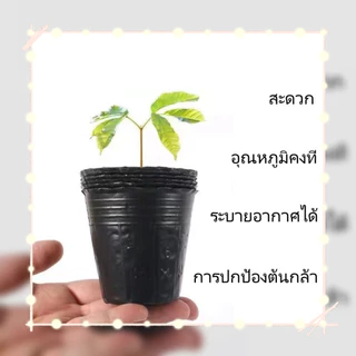 ถุงปลูก100ใบ ราคาถูก กระถางเพาะกล้า ถุงเพาะกล้า ต้นกล้า การปลูกต้นกล้า ปลูกต้นไม้