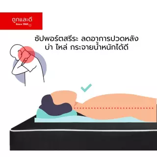Took Lae Dee ที่นอนหุ้ม PVC หนังเทียม ผลิตจากยางพีอีขนาด 3 ฟุต / 3.5ฟุต ความหนา 1 นิ้ว 2 นิ้ว 3 นิ้ว