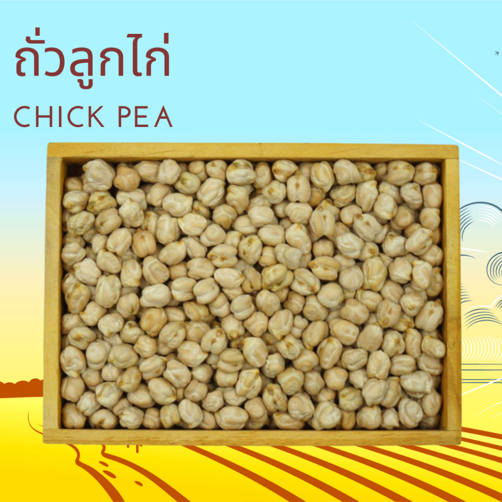 ถั่วลูกไก่ดิบ ชิคพี Raw Chick Pea
