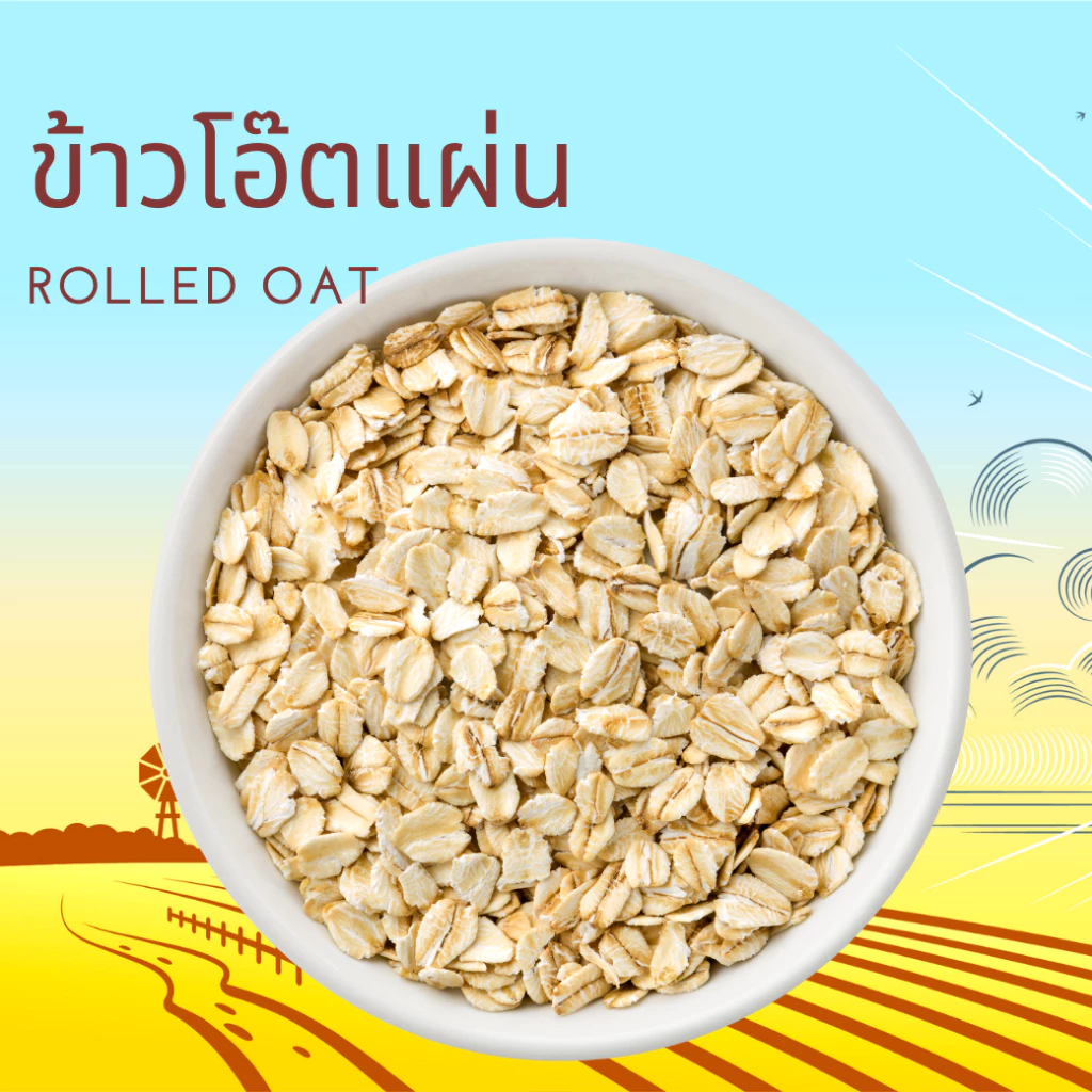 ข้าวโอ๊ตแผ่น ข้าวโอ๊ตรีดแผ่น ข้าวโอ๊ตแผ่นเต็มใบ อบสุก พร้อมรับประทาน Rolled Oat