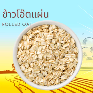 ข้าวโอ๊ตแผ่น ข้าวโอ๊ตรีดแผ่น ข้าวโอ๊ตแผ่นเต็มใบ อบสุก พร้อมรับประทาน Rolled Oat