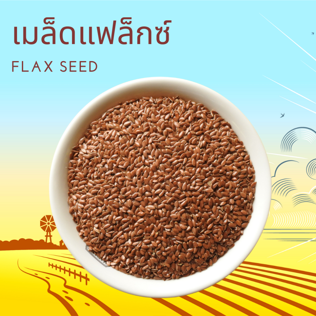 เมล็ดแฟล็กซ์ Flax Seed