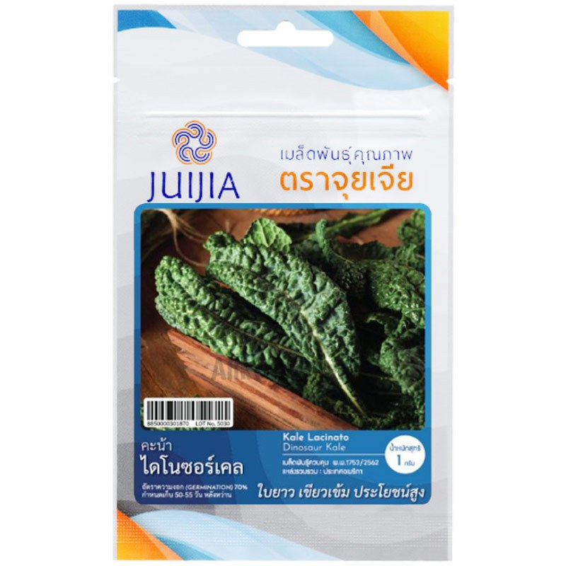 เมล็ดคะน้า ไดโนซอร์เคล