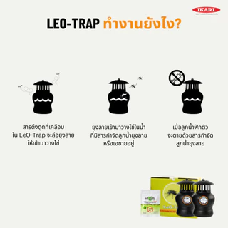 Leo-Trap กับดักไข่ยุงลาย นวัตกรรมกรมวิทย์ฯ กําจัดไข่ยุงลาย ไม่ใช้ไฟฟ้า สารเคมี 1 กล่องมี 2 กับดัก