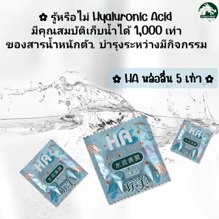 HA 2000 Mg ช่วยบำรุงระหว่างมีกิจกรรม ถุงยางอนามัย 100ชิ้น ราคาโรงงาน ไซส์ 52±2 มม.