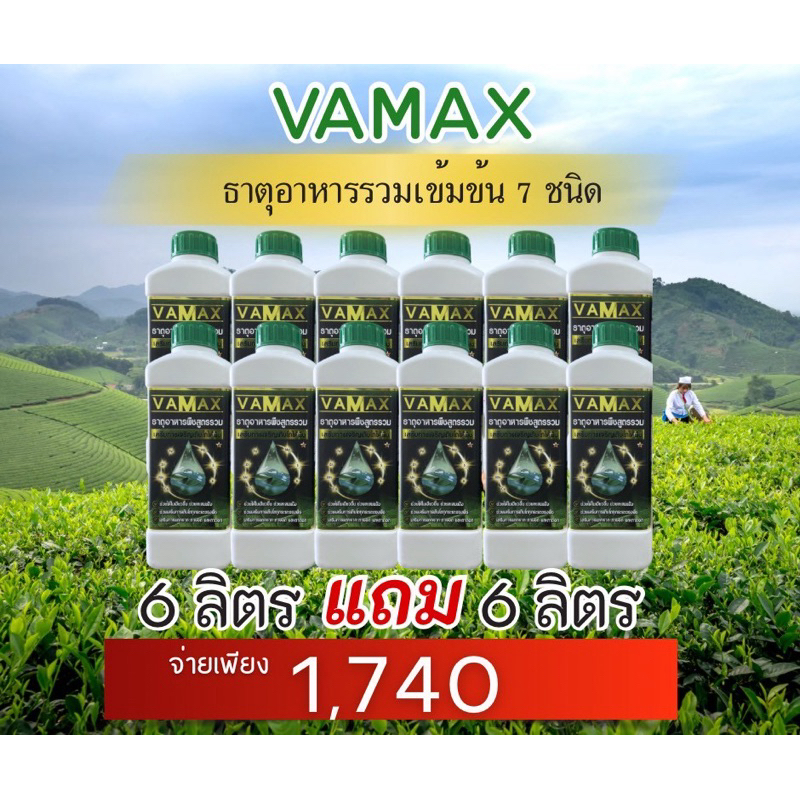 ธาตุอาหารเข้มข้น vamax 6ลิตร แถม 6ลิตร (V12)