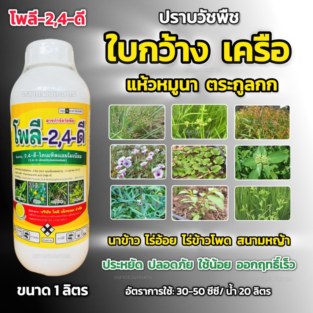 2,4ดี 24d ทูโฟดี โพลี-2,4-ดี ทูโฟร์ดี ยาฆ่าหญ้า สารกำจัดวัชพืช ใบกว้าง แห้วหมู กก ผักบุ้ง ผักโขม เคร