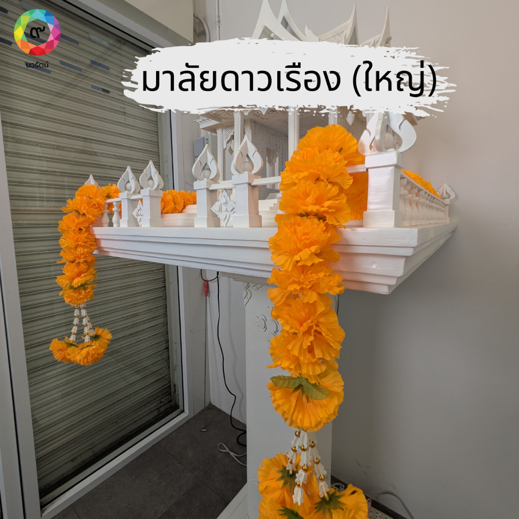 ดอกดาวเรืองสองชาย ดอกใหญ่ สีสดใส