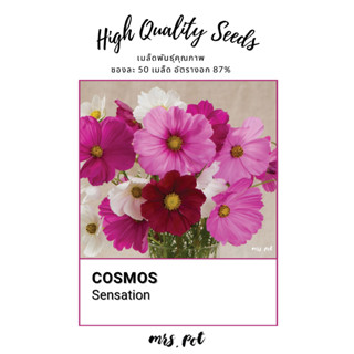 เมล็ดดอกไม้กินได้คอสมอส Sensation Cosmos รหัส040