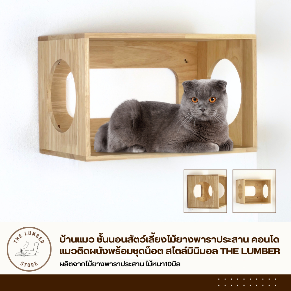 บ้านแมว ชั้นนอนสัตว์เลี้ยงไม้ยางพาราประสาน คอนโดแมวติดผนังพร้อมชุดน็อต สไตล์มินิมอล THE LUMBER