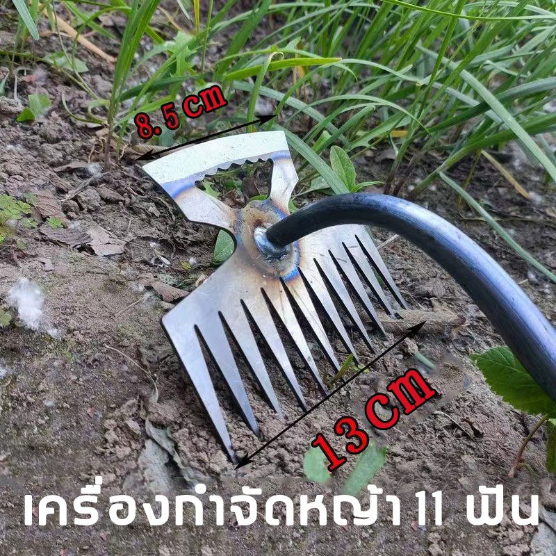 Thumbnail 9