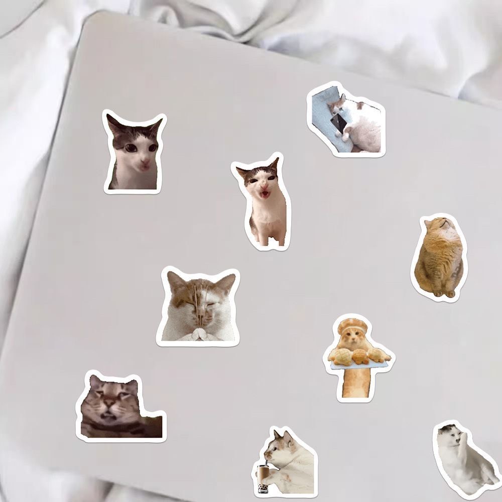 พร้อมส่ง สติกเกอร์มีมแมว มีมแมวตลก Funny cat meme sticker ไว้แปะเคส สมุด กระเป่า สติกเกอร์ตลก 52018 ราคา ถูกที่สุด ดีลบีเคเค แกลเลอรีภาพที่ 2