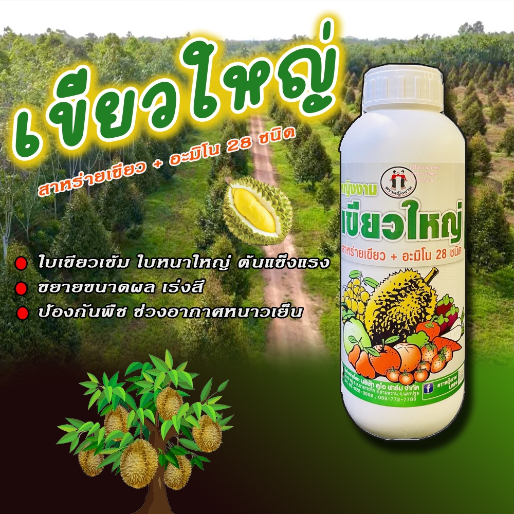 เขียวใหญ่ 1 ลิตร *16 หญิงงาม