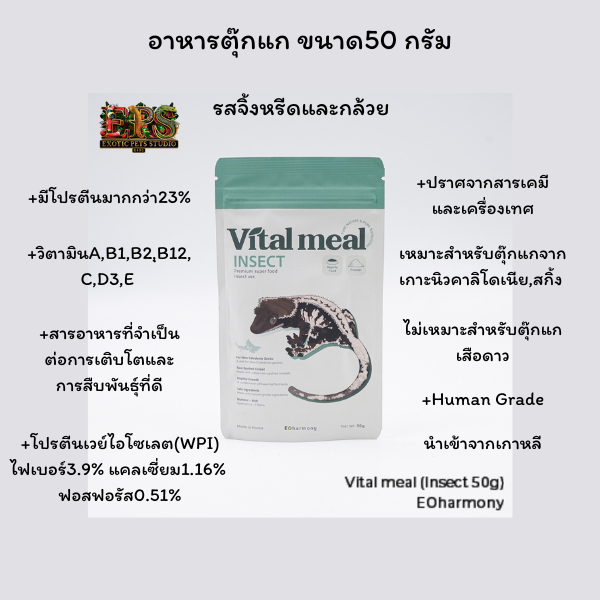 อาหารตุ๊กแก อาหารชงสำหรับตุ๊กแก และสัตว์เลื้อยคลาน สูตรใหม่ รสจิ้งหรีดและกล้วย Vital meal Insect ver. หมดอายุ 9/10/2027