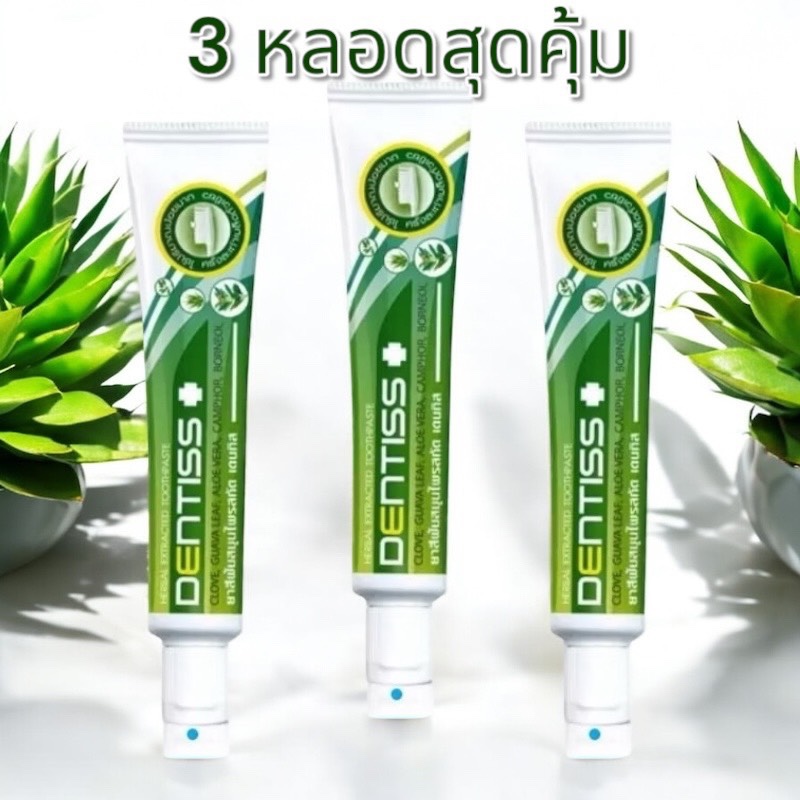 3 หลอดสุดคุ้ม หรือซื้อ 1 หลอด ก็คุ้ม Mistine ยาสีฟันสมุนไพรสกัด มิสทิน เดนทิส 40 กรัม [ ล็อตใหม่ล่าสุด Exp. ปี 2028 ]