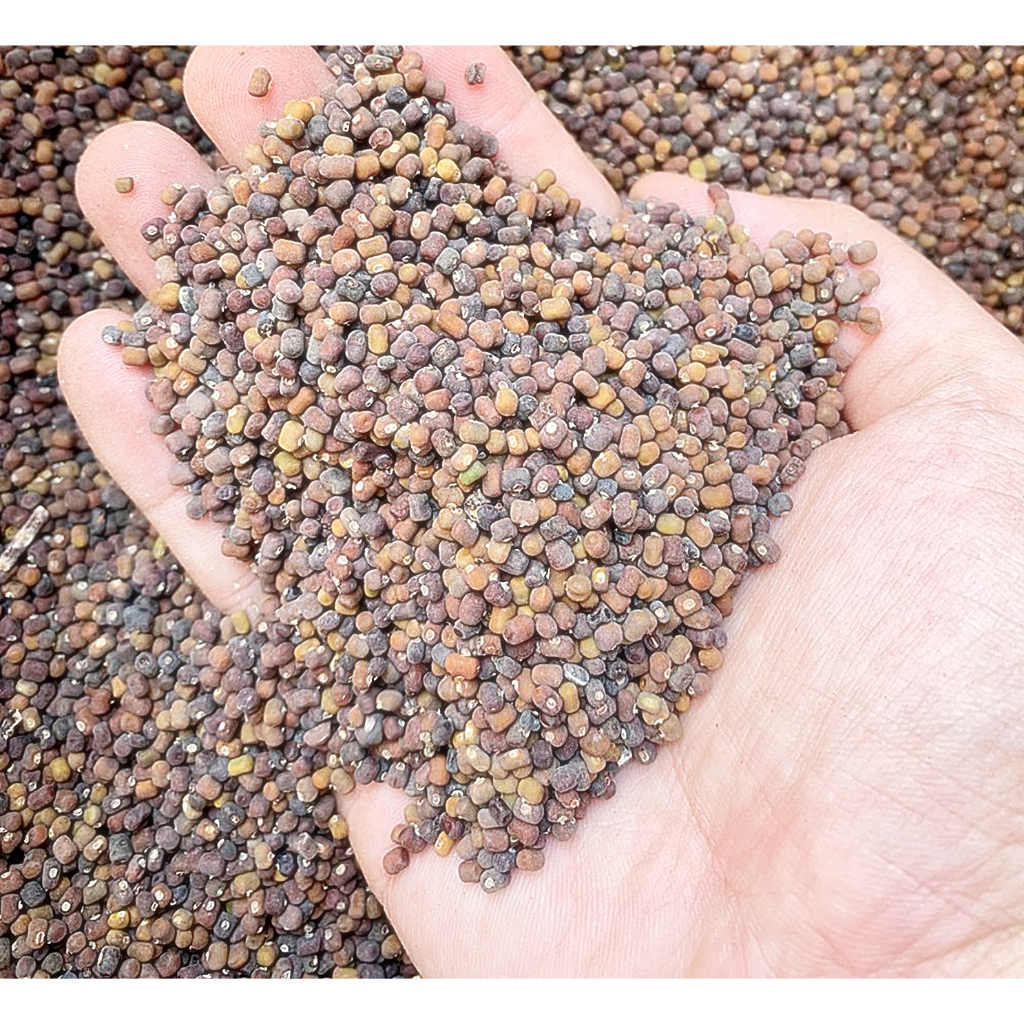 ขายส่ง เมล็ดถั่วเพอราเรีย Pueraria phaseoloides ถั่วคุดชู พืชคุลมดินตระกูลถั่ว พืชอาหารสัตว์ ถั่วพินตอย 1 ออนซ์