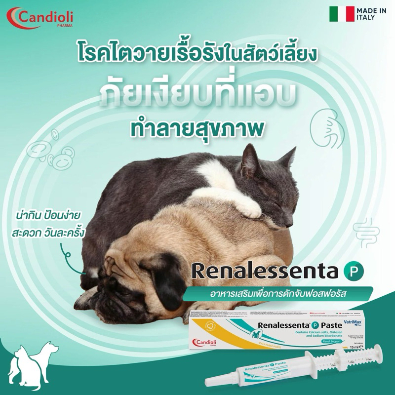 Candioli Renalessenta P 💚 Ex.07/2027 นำเข้าจากประเทศ Italy🇮🇹 ขนาดบรรจุ: หลอด 15 มิลลิลิตร