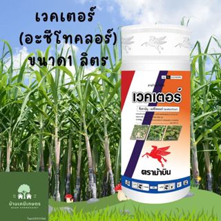 เวคเตอร์ อะซีโทคลอร์ ราเซอร์ ขนาด 1ลิตร คุมยาในอ้อย มัน ข้าว…