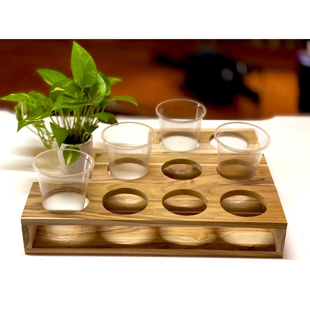 บล็อกใส่แก้วน้ำหวาน/กาแฟกันล้ม วางแคคตัส - รูปที่ 3