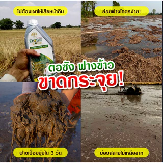 [ร้านค้าบริษัท] กำตัดดีดย่อยข้าววัชพืช ย่อยฟางข้าว โดสล็อค ชุดเซ็ต 2 ขวด ย่อยฟางไม่ต้องเผา ฟื้นฟูดิน