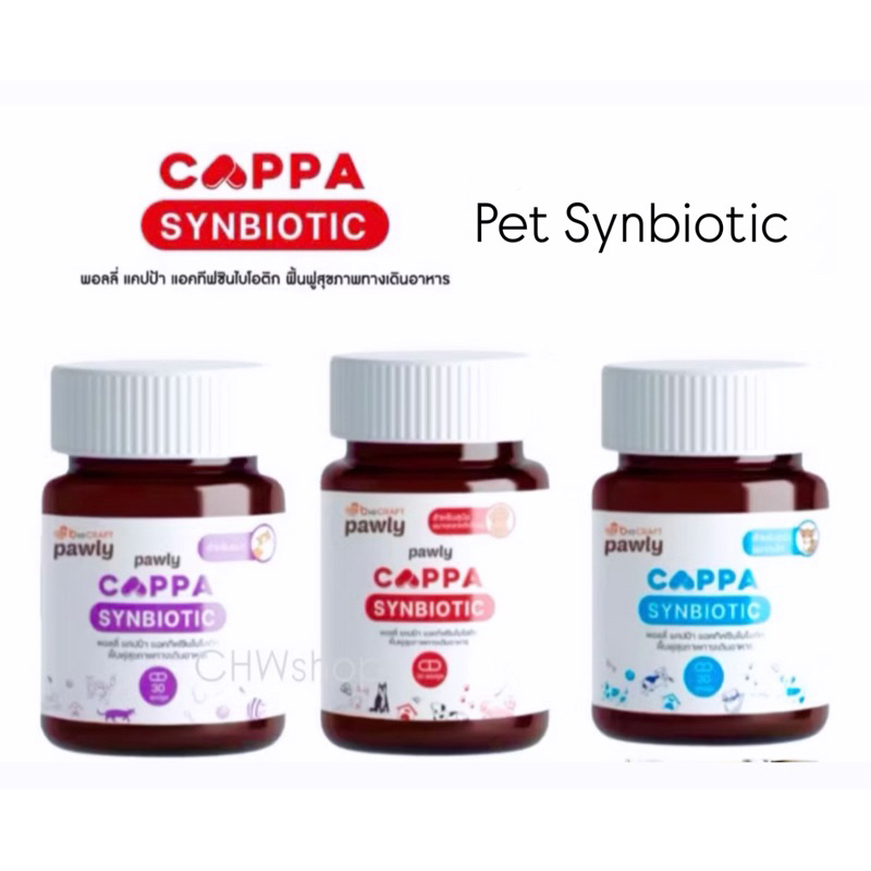 Pawly Cappa Synbiotic ซินไบโอติคชนิดแคปซูลปรับสมดุลลำไส้-หมา-แมว