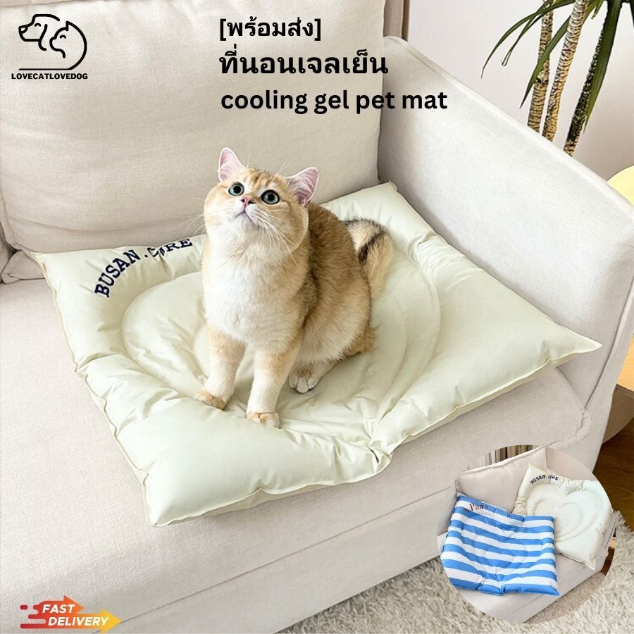 ที่นอนเย็นสัตว์เลี้ยง 🐶🐱 ที่นอนระบายความร้อน ที่นอนสี่เหลี่ยม เจลเย็น