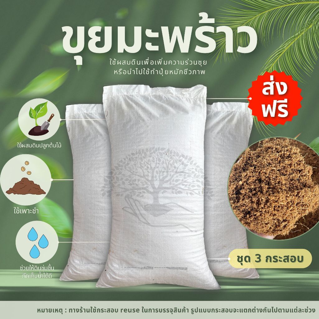 (ส่งฟรี)ขุยมะพร้าวละเอียด 3​ กระสอบ(7-10kg./กระสอบ) ขุยใต้แท้100% ขุยกะทิ ใยน้อย จัดส่ง 5-7 วัน