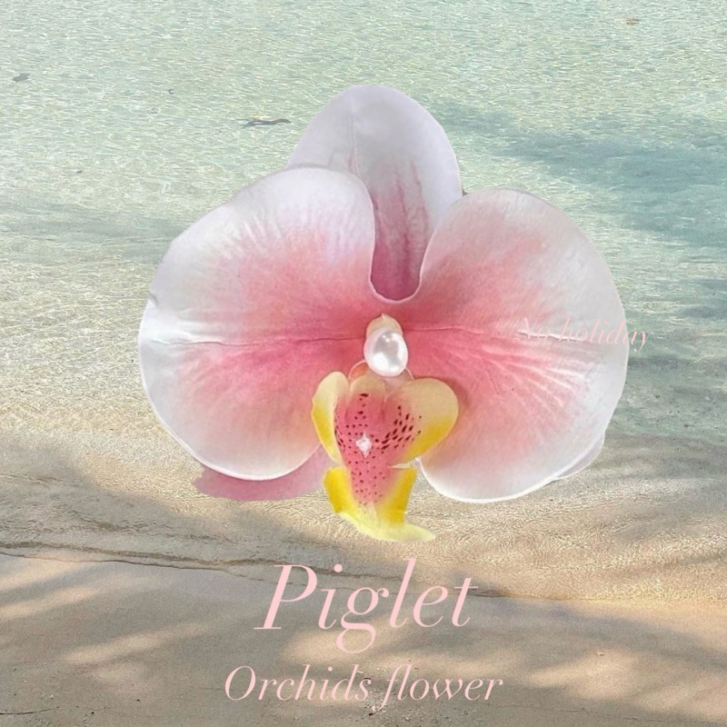 พร้อมส่ง⛱️summer orchids (กิ๊บดอกกล้วยไม้) hair clips verry cute🍉🍍🥝 กิ๊บดอกไม้ (ตัดรอบ16.00)