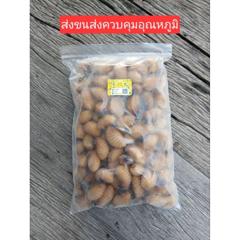 ด้วงสาคูแช่แข็ง (ไม่ใส่เกลือ)  250 - 1000 กรัม ส่งขนส่งควบคุมอุณหภูมิ